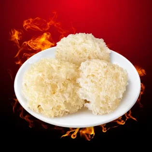 Jamur Salju